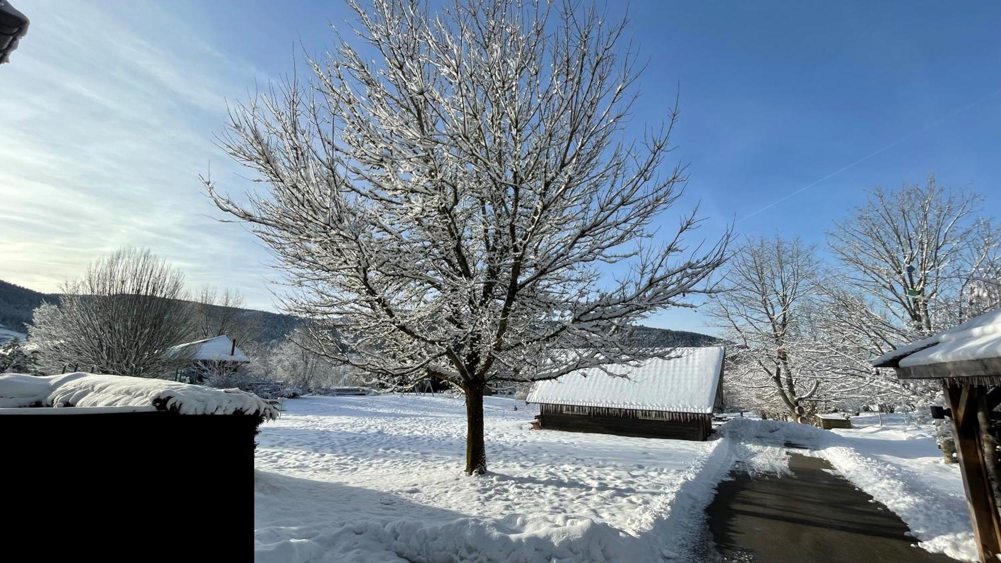 ※ Residence Pomme De Pin - Terrasse - Nature ※ Ксонрю-Лонжмер Екстер'єр фото